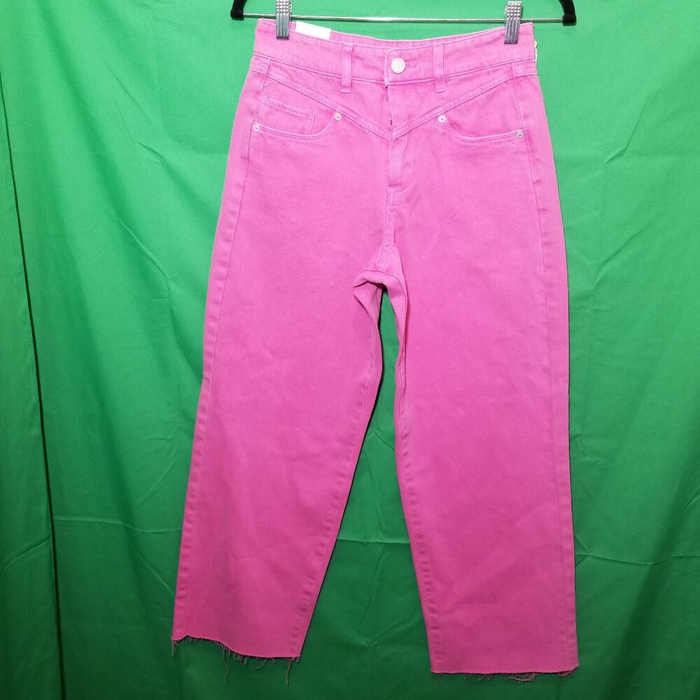BlankNYC The Baxter Ribcage Straight Leg Jean Womens Sz 25 Retro Boho Hippie NWT